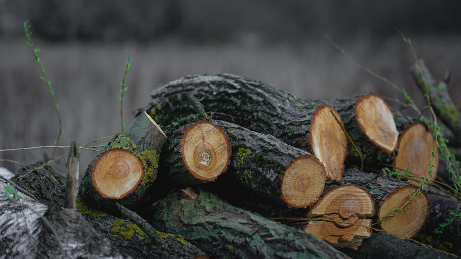 compare smartctl logs to detect hidden bad sectors