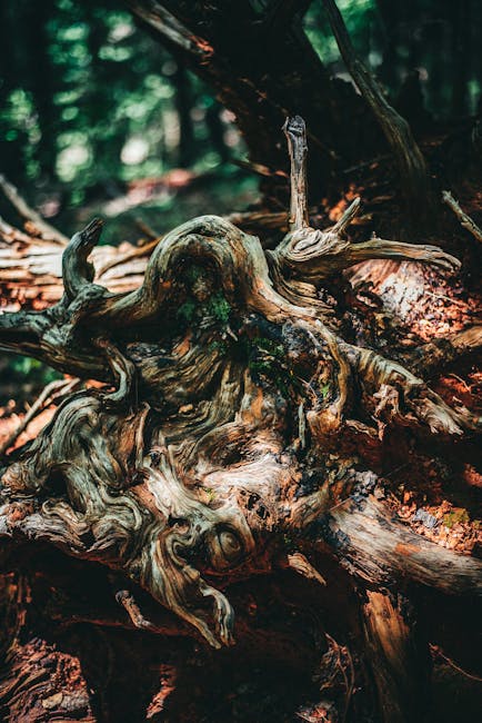 mount root filesystem and chroot