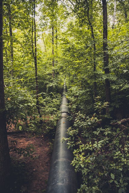 GitHub Actions CI pipeline for PHPStan static analysis