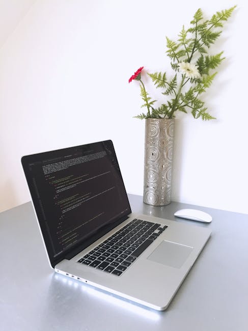 Ollama terminal command line