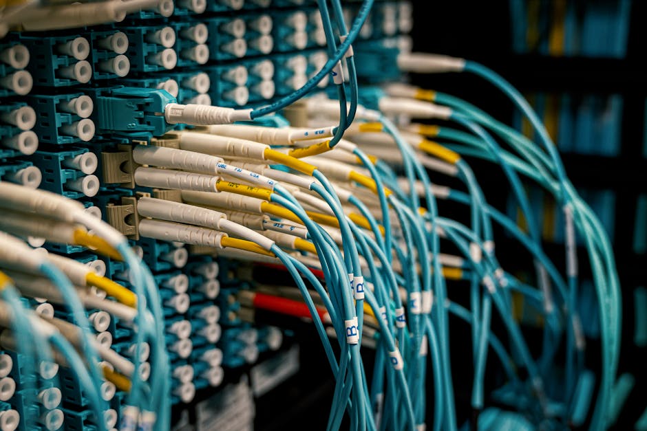 Ollama installation terminal command